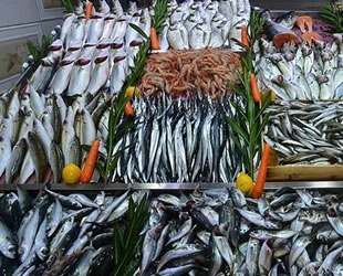 İstanbullu balıkçılar ‘vira bismillah’ demeye hazırlanıyor