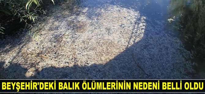 Beyşehir’deki balık ölümlerinin nedeni belli oldu