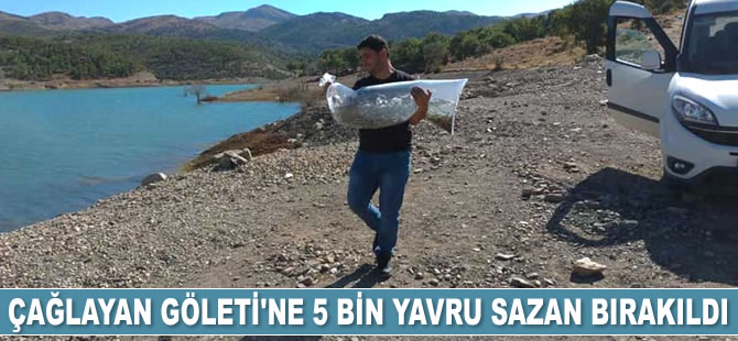Konya’da Çağlayan Göleti'ne 5 bin yavru sazan bırakıldı