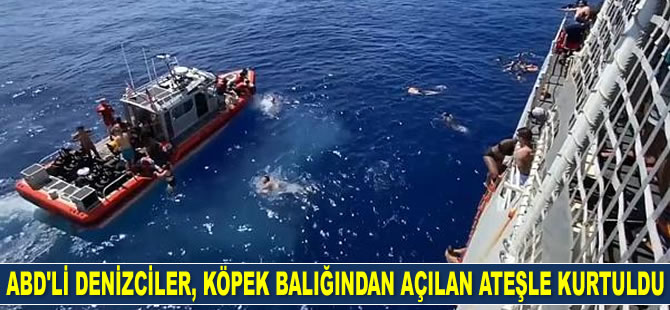 ABD'li denizciler, köpek balığından açılan ateşle kurtuldu