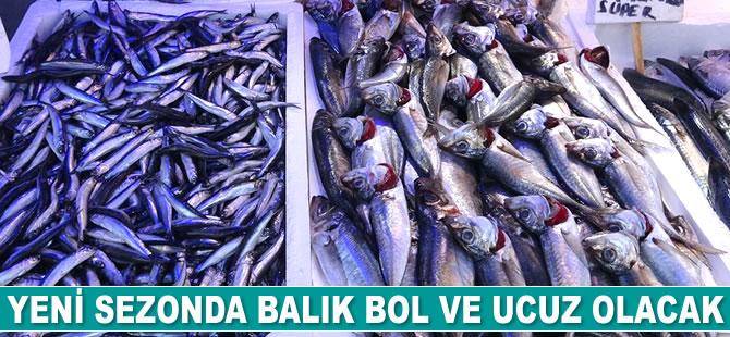Yeni sezonda balık bol ve ucuz olacak