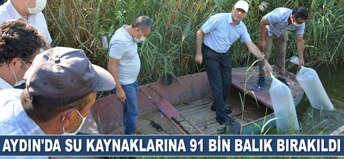 Aydın’da su kaynaklarına 91 bin balık bırakıldı