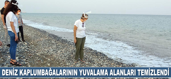 Mersin'de deniz kaplumbağalarının yuvalama alanları temizlendi
