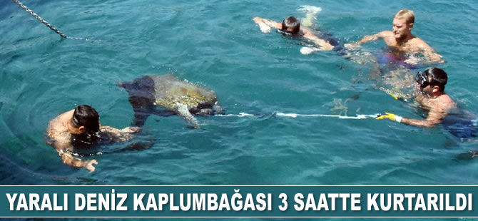 Yaralı deniz kaplumbağası 3 saatte kurtarıldı