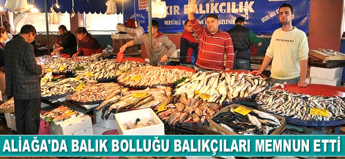 Aliağa'da balık bolluğu balıkçıları memnun etti