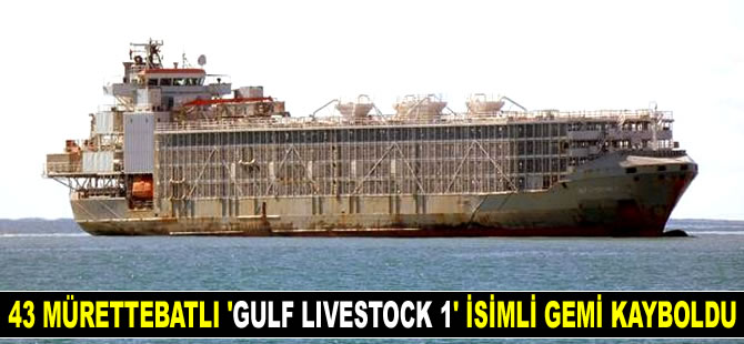 Japonya’da 43 mürettebatlı ‘Gulf Livestock 1’ isimli gemi kayboldu