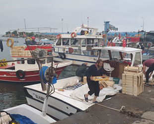 Düzceli balıkçılar yeni sezonda elleri dolu dönüyor