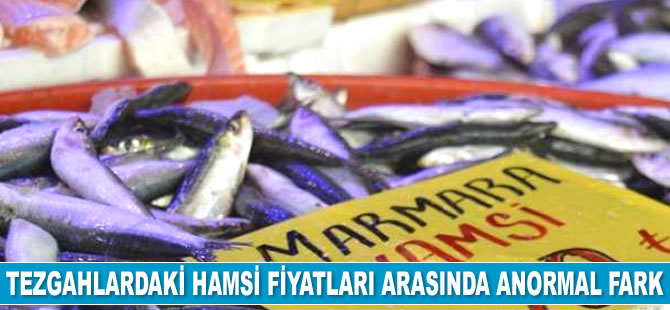 Marmara ve Karadeniz hamsileri arasında yüzde 100 fiyat farkı var