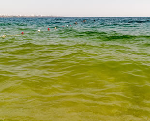 Konyaaltı sahilinde masmavi denizin rengi yeşile döndü