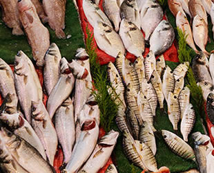 Gaziantep'te balık tüketimi arttı