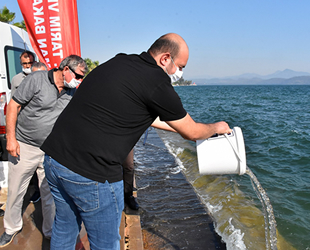 Köyceğiz Gölü'ne 100 bin sazan yavrusu bırakıldı