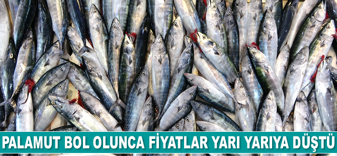 Palamutun fiyatı yüz güldürüyor, istavrit ve mezgitin fiyatı ise üzüyor