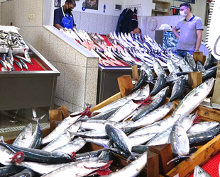 Yeni başlayan balık sezonu palamut avı ile umut verdi