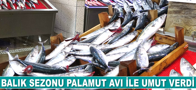 Yeni başlayan balık sezonu palamut avı ile umut verdi