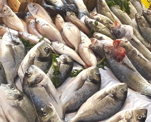 Balık sezonu açıldı, fiyatlardaki düşüş tatmin etmedi