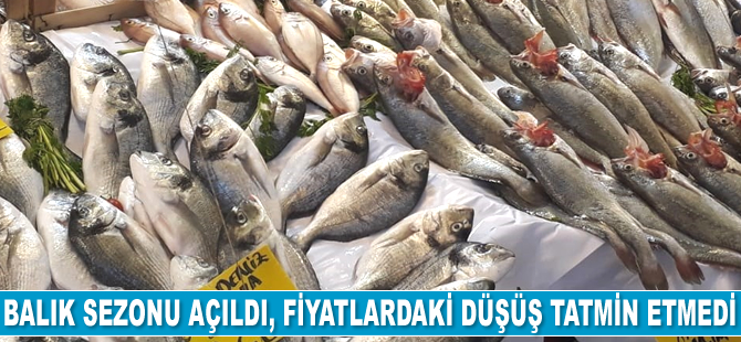 Balık sezonu açıldı, fiyatlardaki düşüş tatmin etmedi
