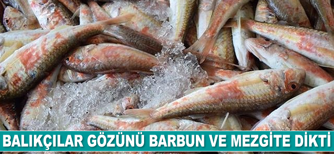 Balıkçılar gözünü barbun ve mezgite dikti