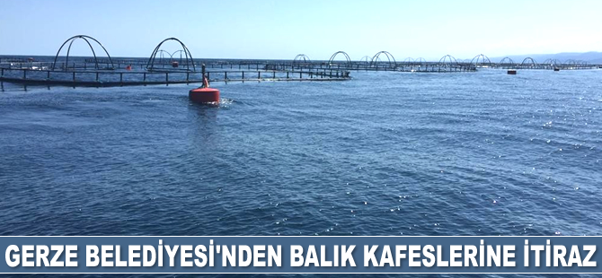 Gerze Belediyesi’nden balık kafeslerine itiraz geldi