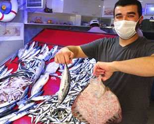 Ordulu balıkçıların tezgahları balıkla şenlendi