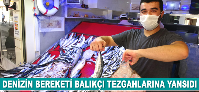 Ordulu balıkçıların tezgahları balıkla şenlendi