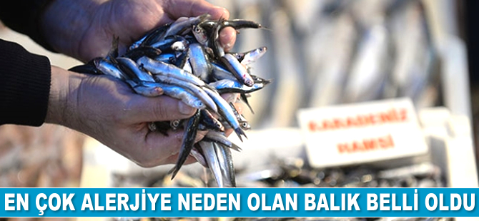 En çok alerjiye neden olan balık belli oldu