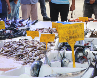 Tezgahlar şenlendi, balığa rağbet arttı