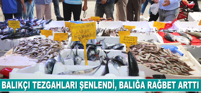 Tezgahlar şenlendi, balığa rağbet arttı