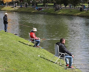 Yabancı türler balık çeşitliliğine zarar veriyor