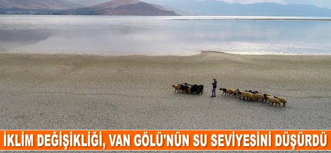 Küresel iklim değişikliği nedeniyle Van Gölü'nün su seviyesi düşüyor