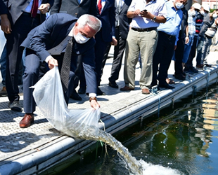 Eğirdir Gölü’ne 562 bin adet sazan yavrusu bırakıldı