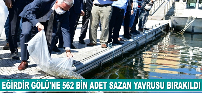 Eğirdir Gölü’ne 562 bin adet sazan yavrusu bırakıldı