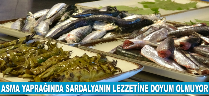 Asma yaprağında sardalyanın lezzetine doyum olmuyor