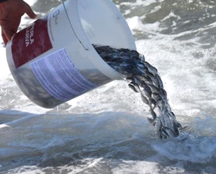 Dikili’de 10 bin yavru balıklar denizle buluştu