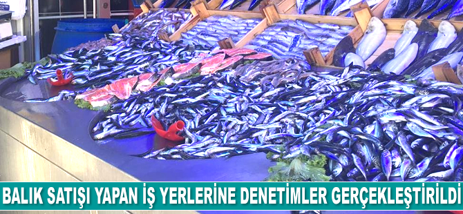 Bilecik’te balıkçılar denetlendi
