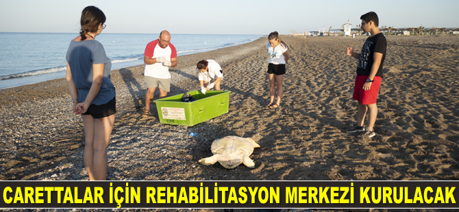 Deniz kaplumbağaları için rehabilitasyon merkezi kurulacak