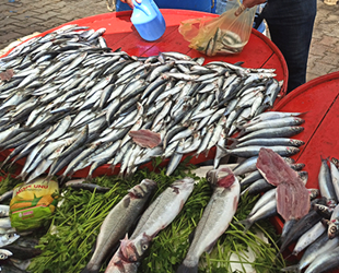 Şuhut'ta tezgahlar balıklarla şenlendi