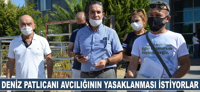 Didimliler, deniz patlıcanı avcılığının yasaklanmasını istiyorlar