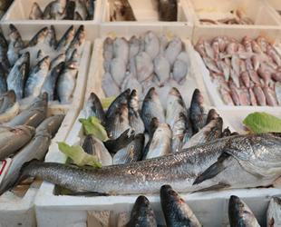 Tezgahlar balıkla doldu taştı, fiyatlar yarı yarıya düştü