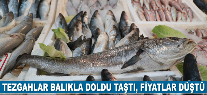 Tezgahlar balıkla doldu taştı, fiyatlar yarı yarıya düştü