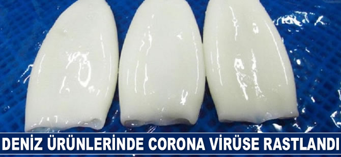 Rusya'dan Çin'e ithal edilen deniz ürünlerinde Kovid-19'a rastlandı