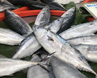 Bu sene tezgahlar da sofralar da balığa doyacak