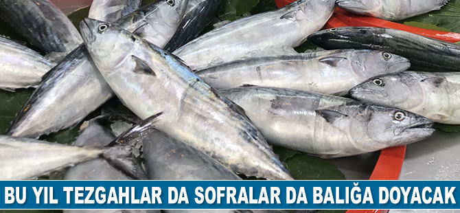 Bu sene tezgahlar da sofralar da balığa doyacak