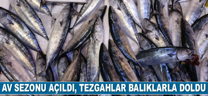 Av sezonu açıldı, tezgahlar balıklarla doldu