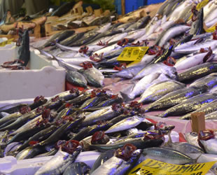 Sezon ilerledikçe balık çeşitleri de satışlar da artıyor