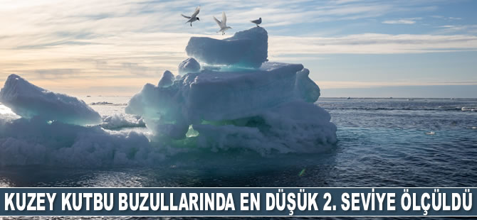 Kuzey Kutbu buzullarında en düşük 2. seviye ölçüldü