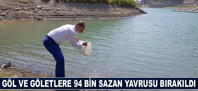 Hatay'da göl ve göletlere 94 bin sazan yavrusu bırakıldı