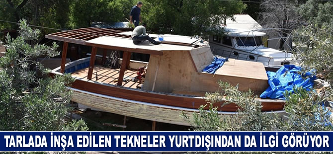 Tarlada inşa edilen tekneler yurtdışından da ilgi görüyor