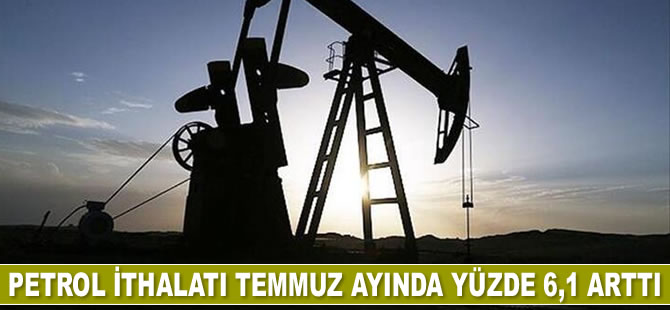 Petrol ithalatı Temmuz’da yüzde 6,1 arttı