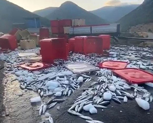 Antalya'da tırın dorse kapağı açıldı, tonlarca balık yola savruldu
