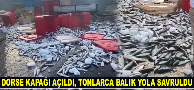 Antalya'da tırın dorse kapağı açıldı, tonlarca balık yola savruldu